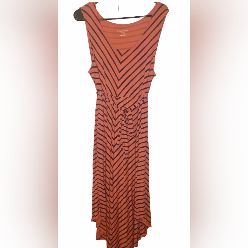 Liz Lange Vibrant Striped Maxi Dress
